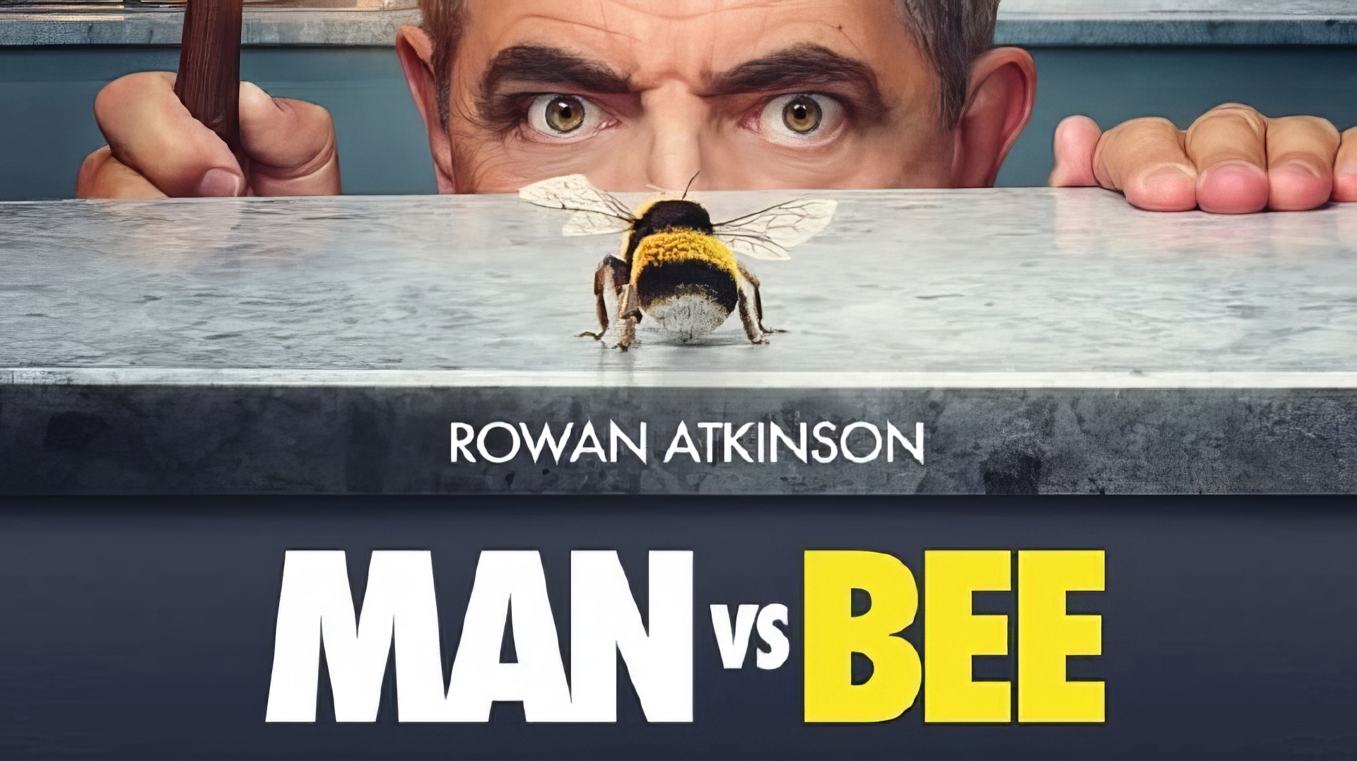 Man vs Bee poster
